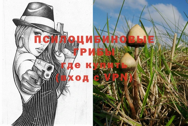 2c-b Алексеевка