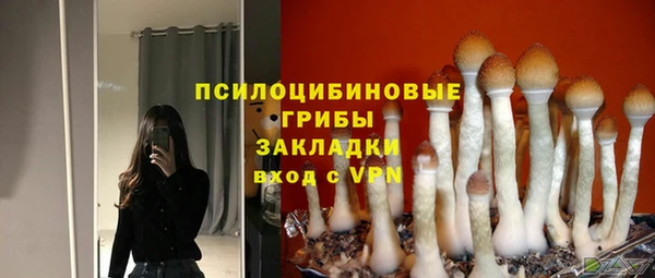 тгк Алзамай