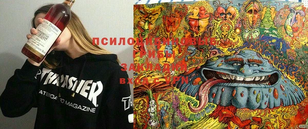 тгк Алзамай